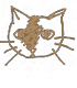 catsill-2