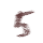 num5