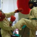 ph_taijutsu3